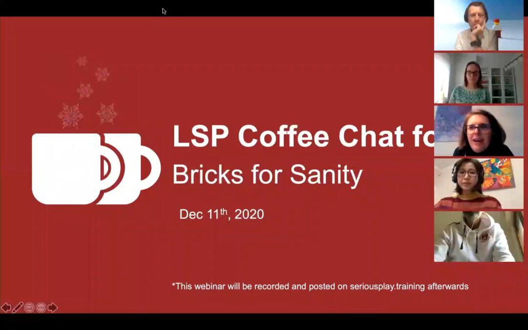 2020-CC#FOR ALL 03 – Bricks for Sanity – Robert and Per